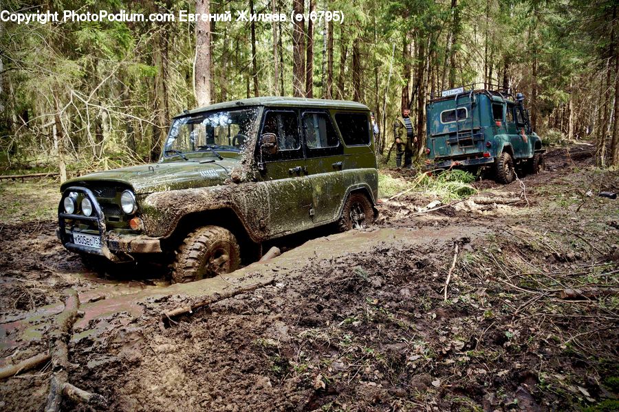 Car, Offroad, Jeep, Vehicle, Buggy, Carriage, Suv