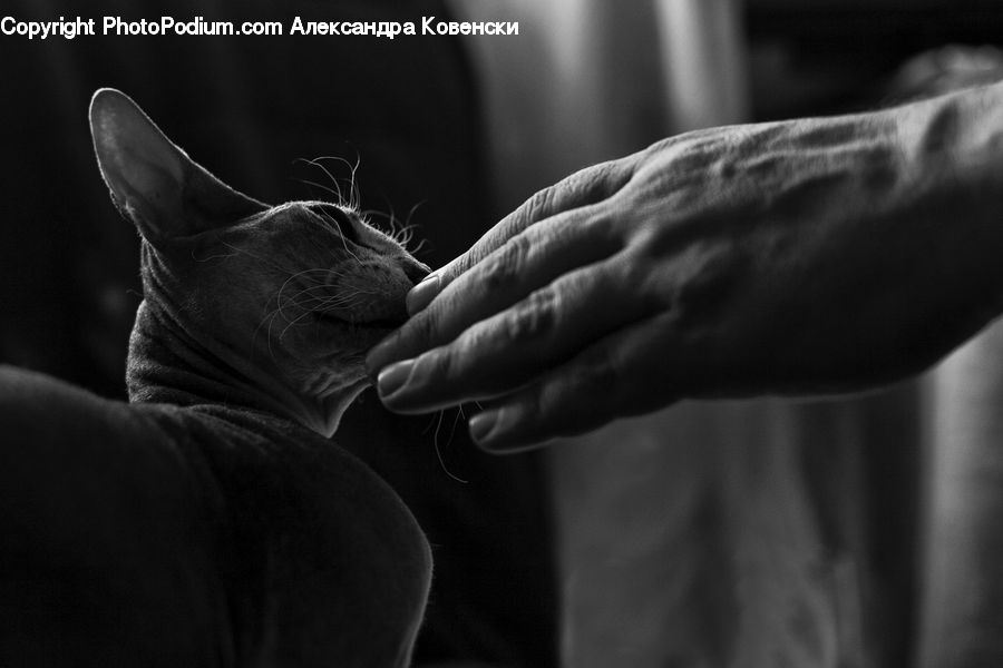 Hair, Finger, Hand, Person, Portrait