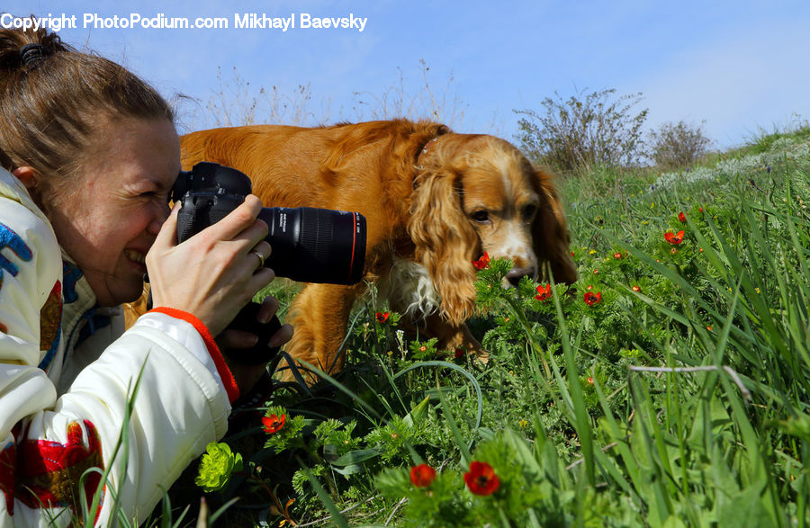 People, Person, Human, Plant, Potted Plant, Photographer, Binoculars