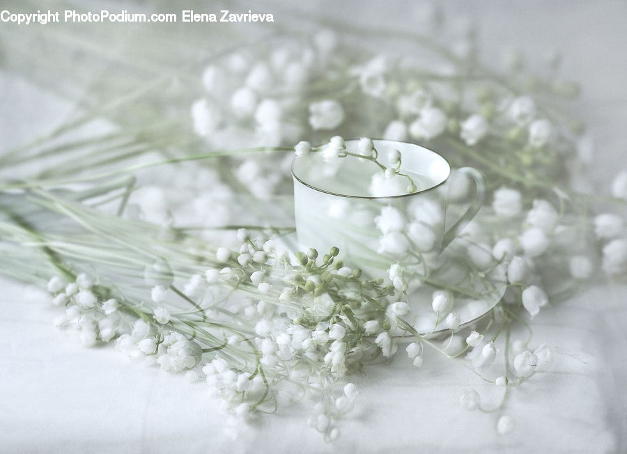Bling, Blossom, Flora, Flower, Plant, Floral Design, Cherry Blossom