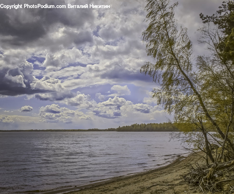 Cloud, Cumulus, Sky, Azure Sky, Outdoors, Landscape, Nature