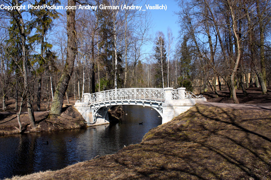 Bridge, Park, Outdoors, Ruins, Plant, Tree, Forest