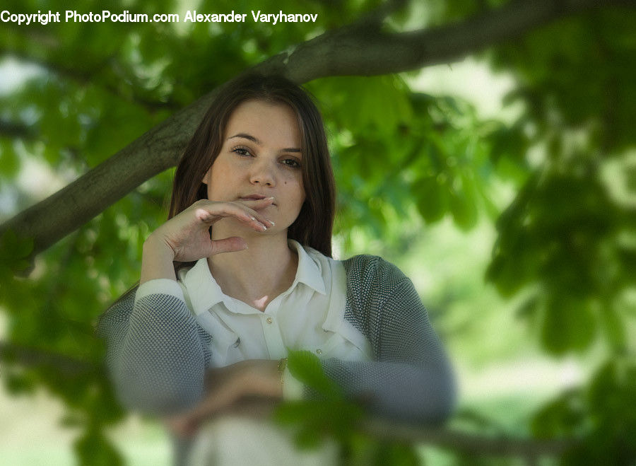 People, Person, Human, Female, Girl, Woman, Portrait