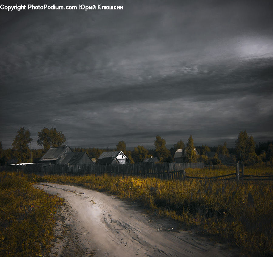 Dirt Road, Gravel, Road, Field, Grass, Grassland, Land
