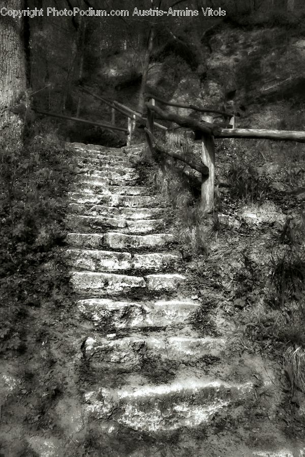 Path, Trail, Outdoors, Alley, Alleyway, Road, Street