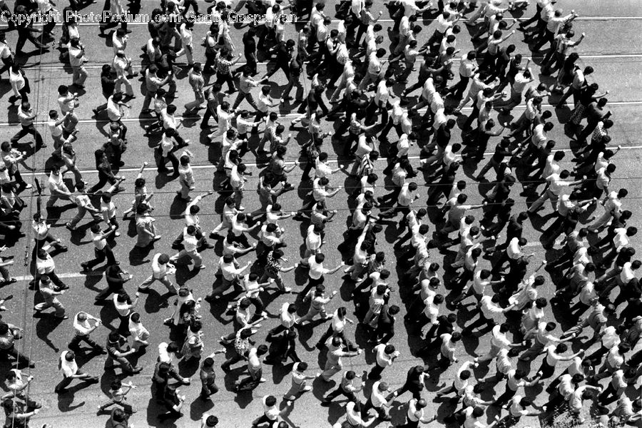 Crowd, Carnival, Festival, Parade, Lace, People, Person