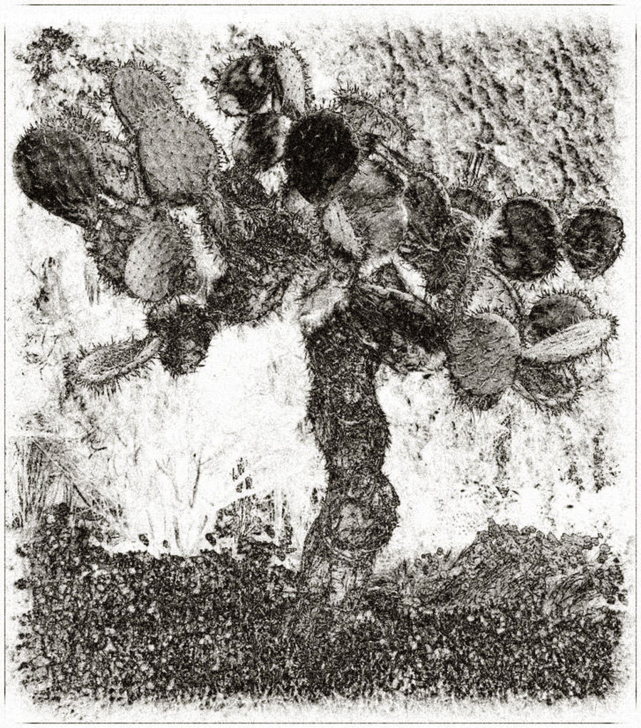 Art, Drawing, Paper, Sketch, Outdoors, Sand, Soil