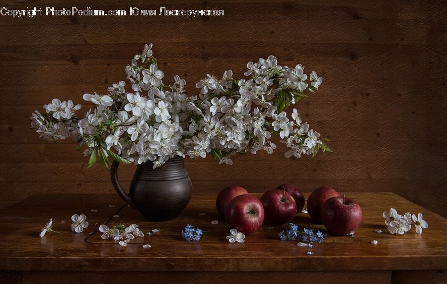 Apple, Fruit, Plant, Potted Plant, Plum, Floral Design, Flower