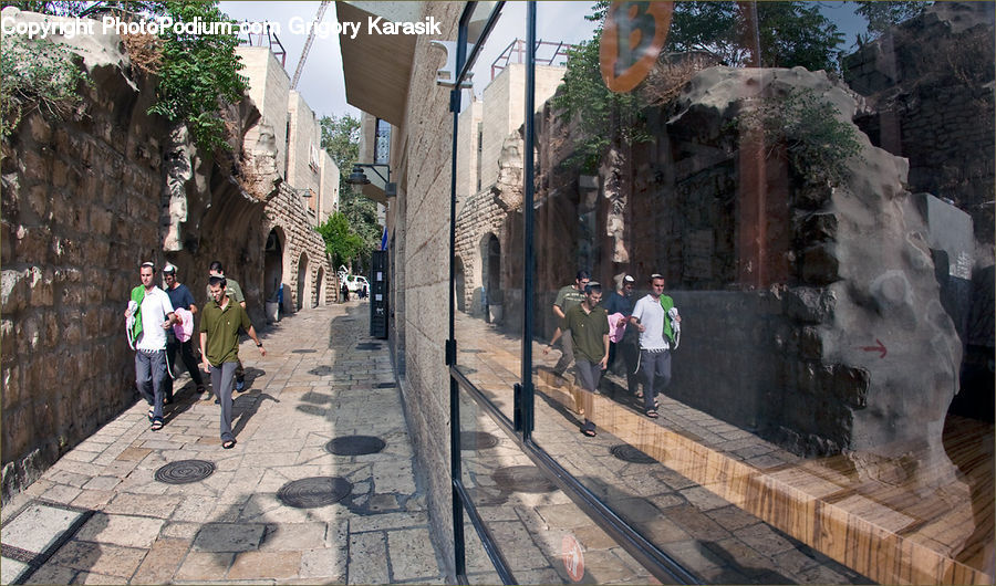 Plant, Potted Plant, Vine, Alley, Alleyway, Road, Street