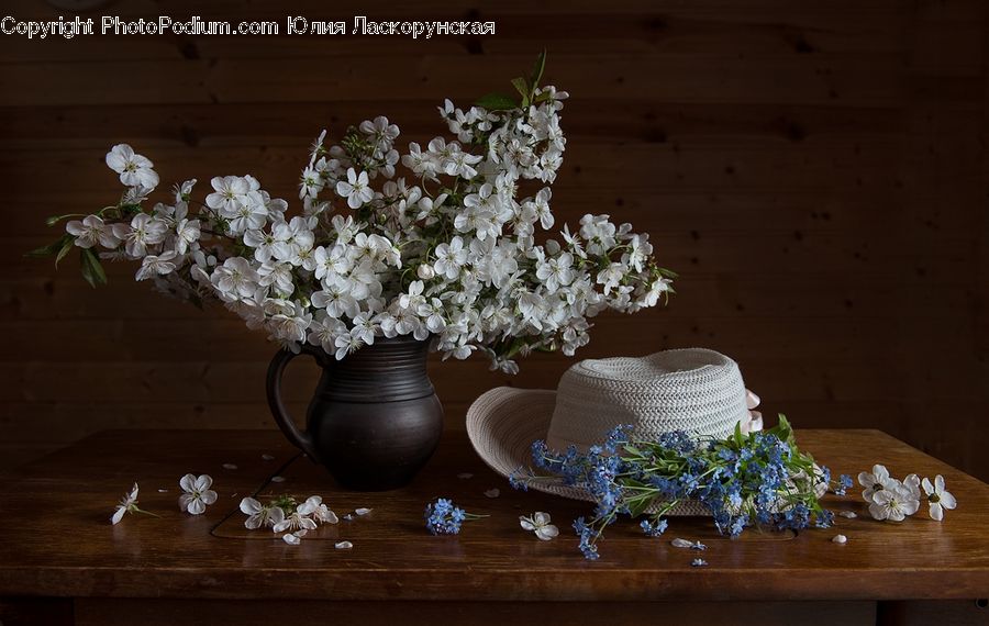 Plant, Potted Plant, Chandelier, Lamp, Floral Design, Flower, Flower Arrangement