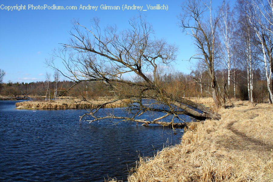 Outdoors, River, Water, Landscape, Nature, Scenery, Field