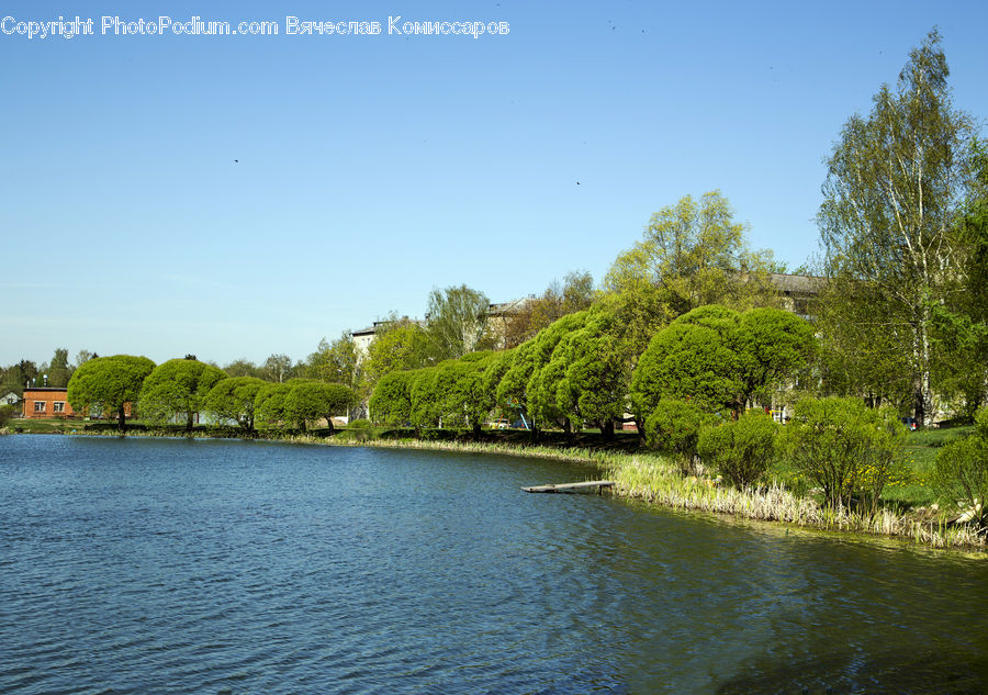 Lake, Outdoors, Water, Canal, River, Conifer, Fir