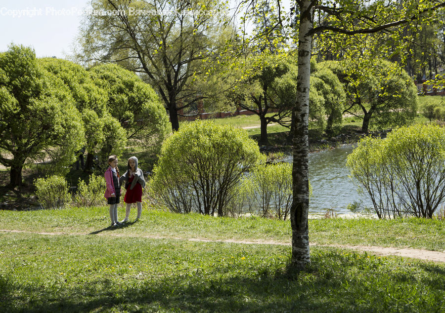 Outdoors, Park, Plant, Tree, Field, Grass, Grassland