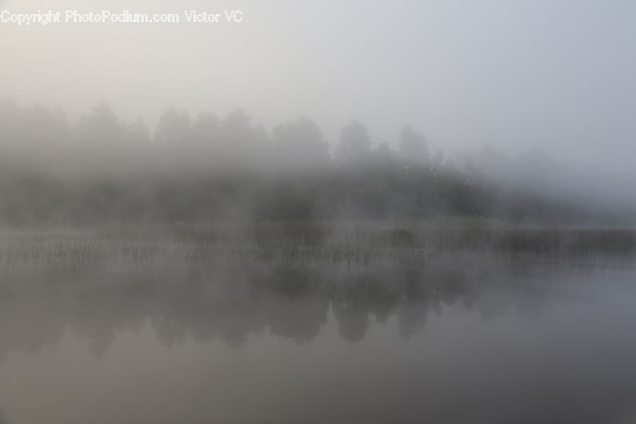 Fog, Mist, Outdoors