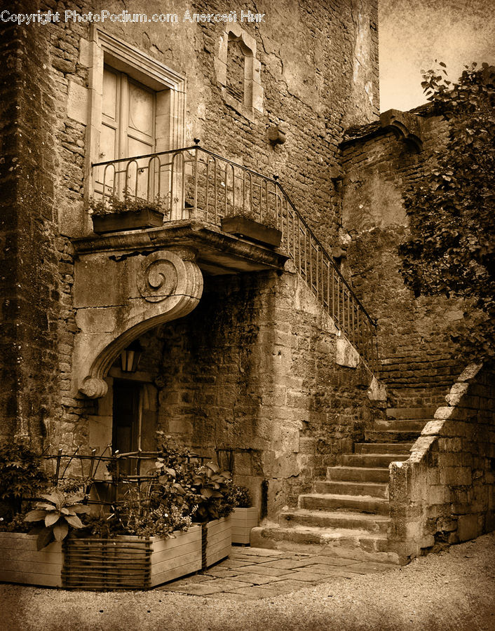 Balcony, Ivy, Plant, Vine, Patio, Ruins, Alley