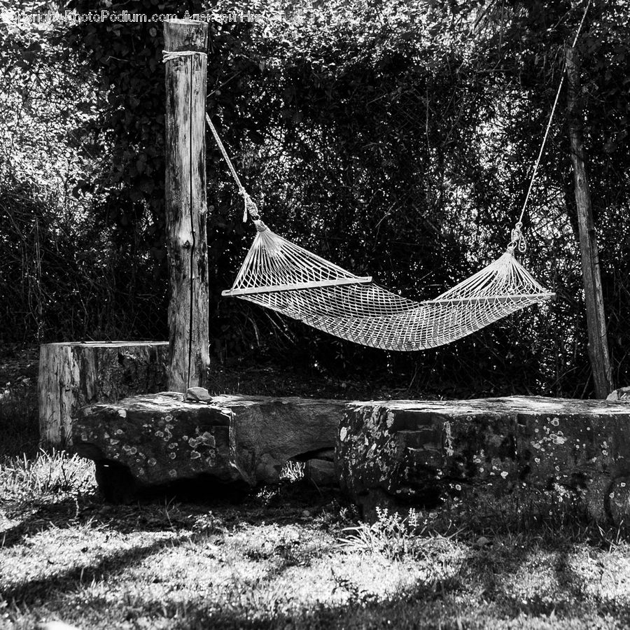Furniture, Hammock, Chair, Outdoors, Forest, Vegetation, Jungle