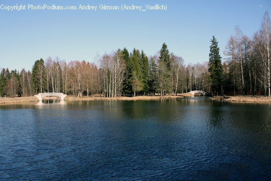 Lake, Outdoors, Water, Conifer, Fir, Plant, Tree