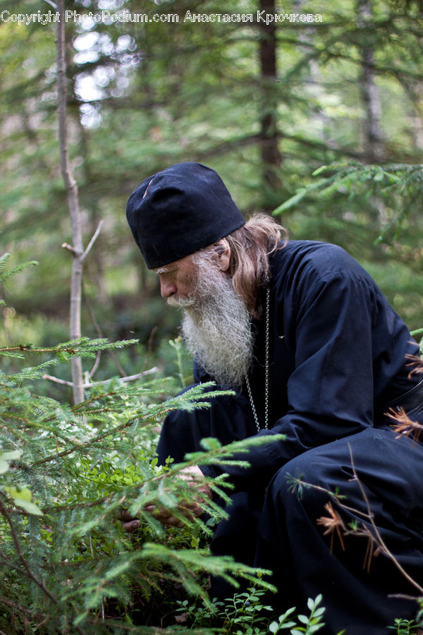 People, Person, Human, Conifer, Fir, Plant, Tree
