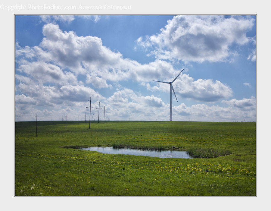 Field, Grass, Grassland, Land, Outdoors, Marsh, Pond