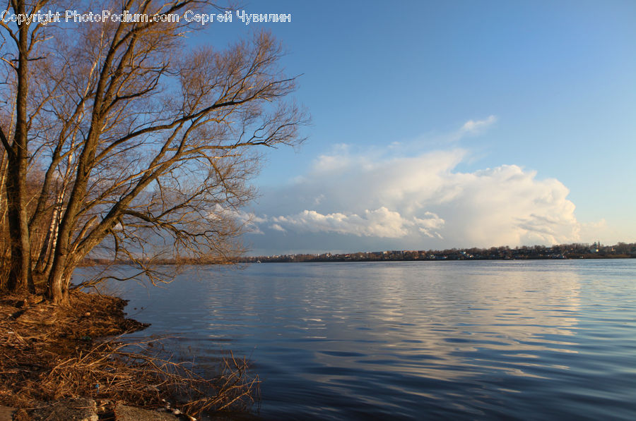 Lake, Outdoors, Water, Grass, Plant, Reed, Landscape