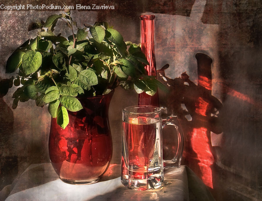 Flower, Lily, Plant, Pond Lily, Potted Plant, Herbs, Mint