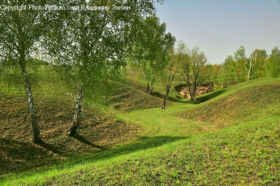 Grassland, Mound, Dirt Road, Gravel, Road, Field, Grass