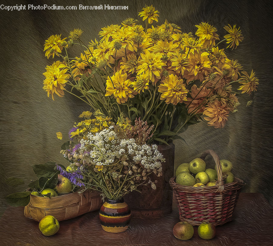 Plant, Potted Plant, Pot, Pottery, Produce, Vegetable, Dill