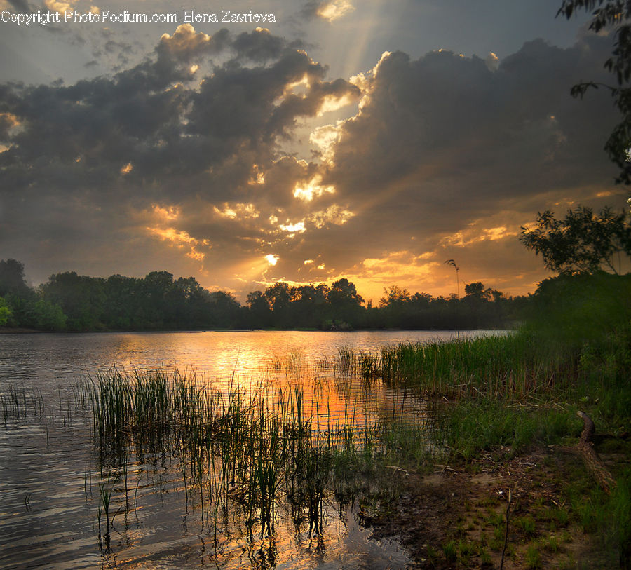 Lake, Outdoors, Water, Field, Grass, Grassland, Plant