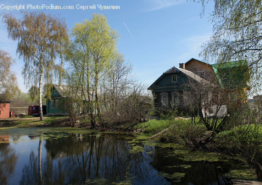 Building, Cottage, Housing, Forest, Grove, Land, Vegetation