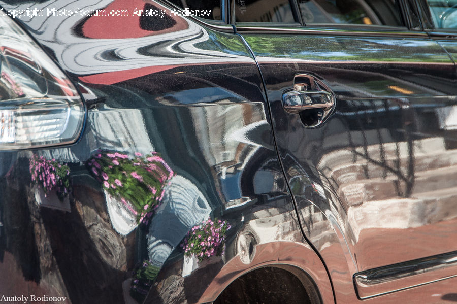 Plant, Potted Plant, Art, Graffiti, Mural, Wall, Antique Car