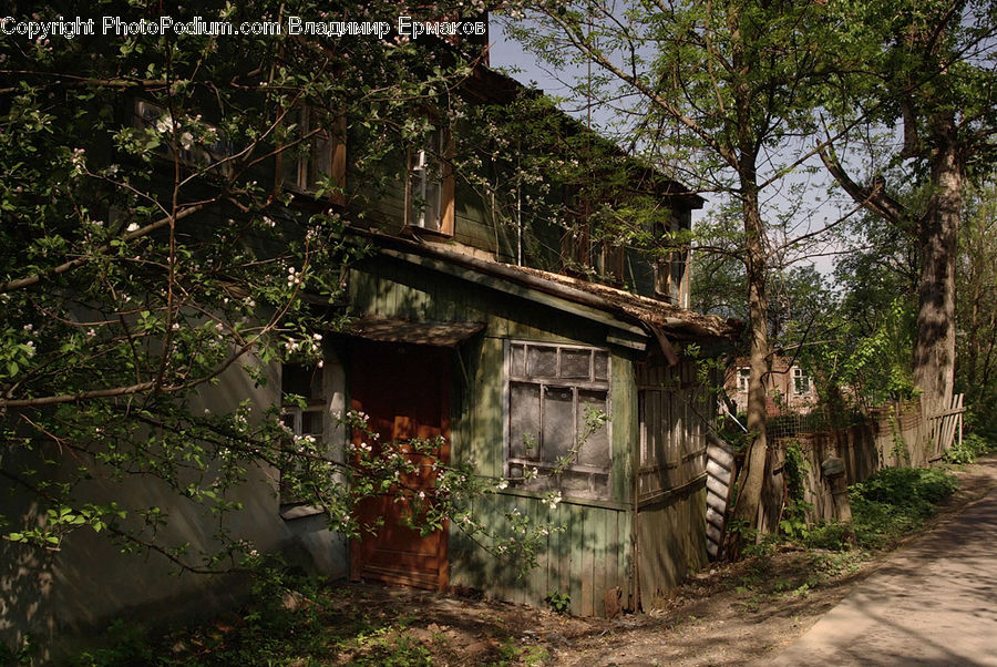 Cabin, Hut, Rural, Shack, Shelter, Building, Cottage