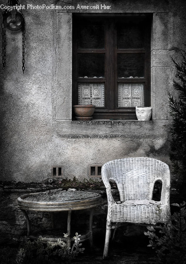 Chair, Furniture, Brick, Conifer, Fir, Plant, Tree
