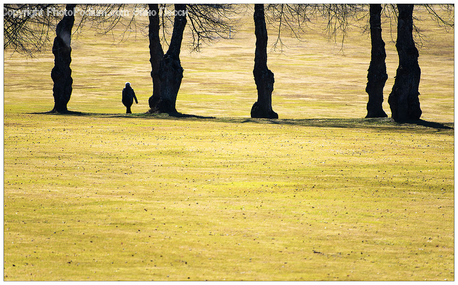 Human, People, Person, Boot, Shoe, Silhouette, Plant