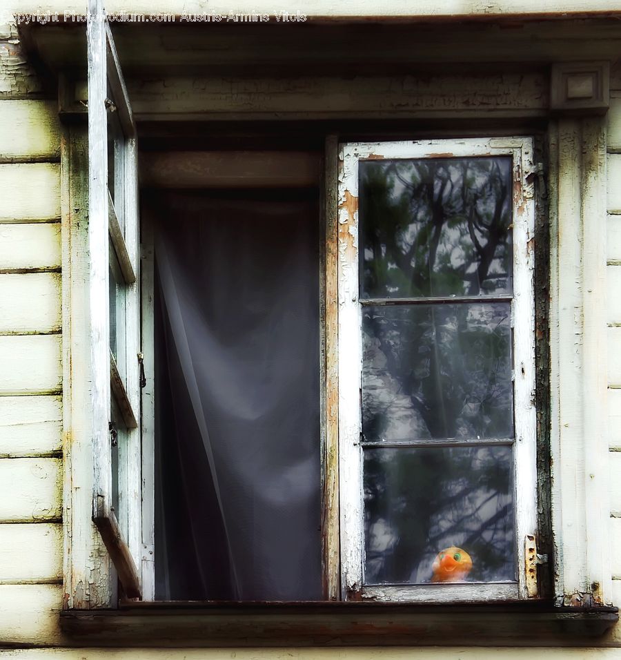 Window