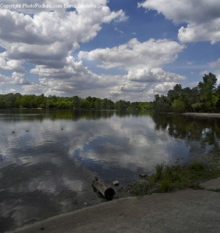 Land, Marsh, Pond, Swamp, Water, Cloud, Cumulus