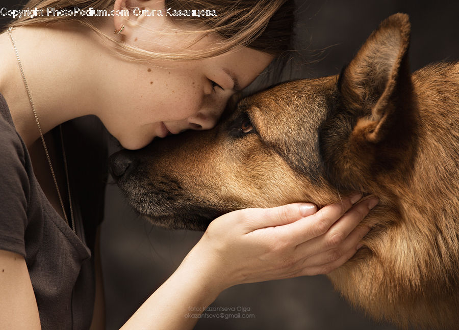 People, Person, Human, Animal, Cat, Pet, Siamese