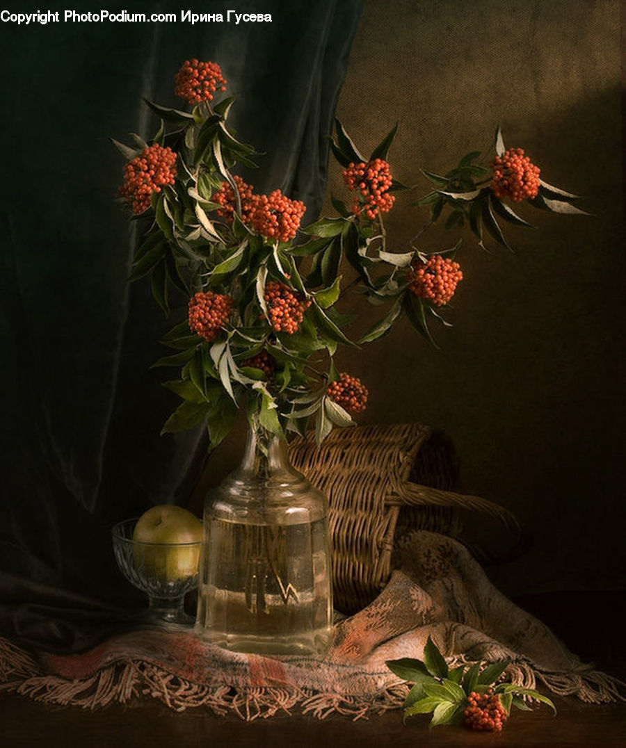 Plant, Potted Plant, Glass, Goblet, Floral Design, Flower, Flower Arrangement
