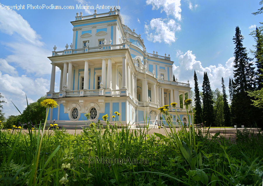 Architecture, Mansion, Building, House, Housing, Villa, Court