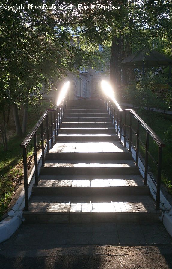 Path, Sidewalk, Walkway, Backyard, Yard, Flare, Light