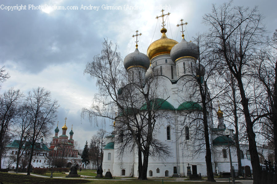 Architecture, Dome, Park, Church, Worship, Plant, Tree