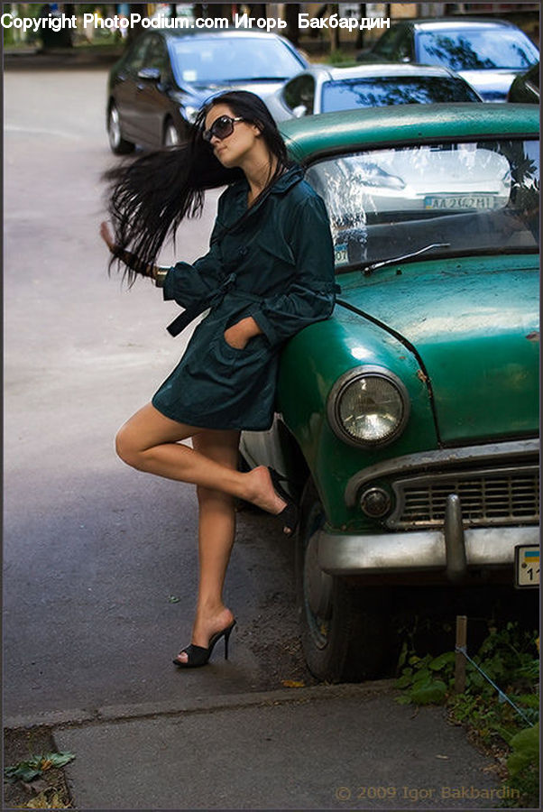 Plant, Potted Plant, Automobile, Car, Vehicle, Cab, Taxi