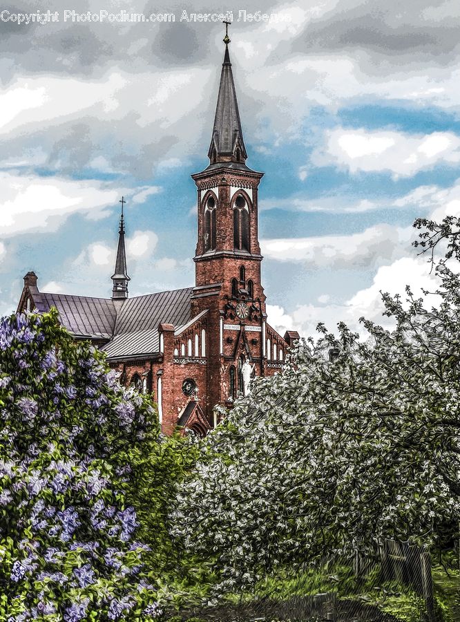 Architecture, Bell Tower, Clock Tower, Tower, Spire, Steeple, Church