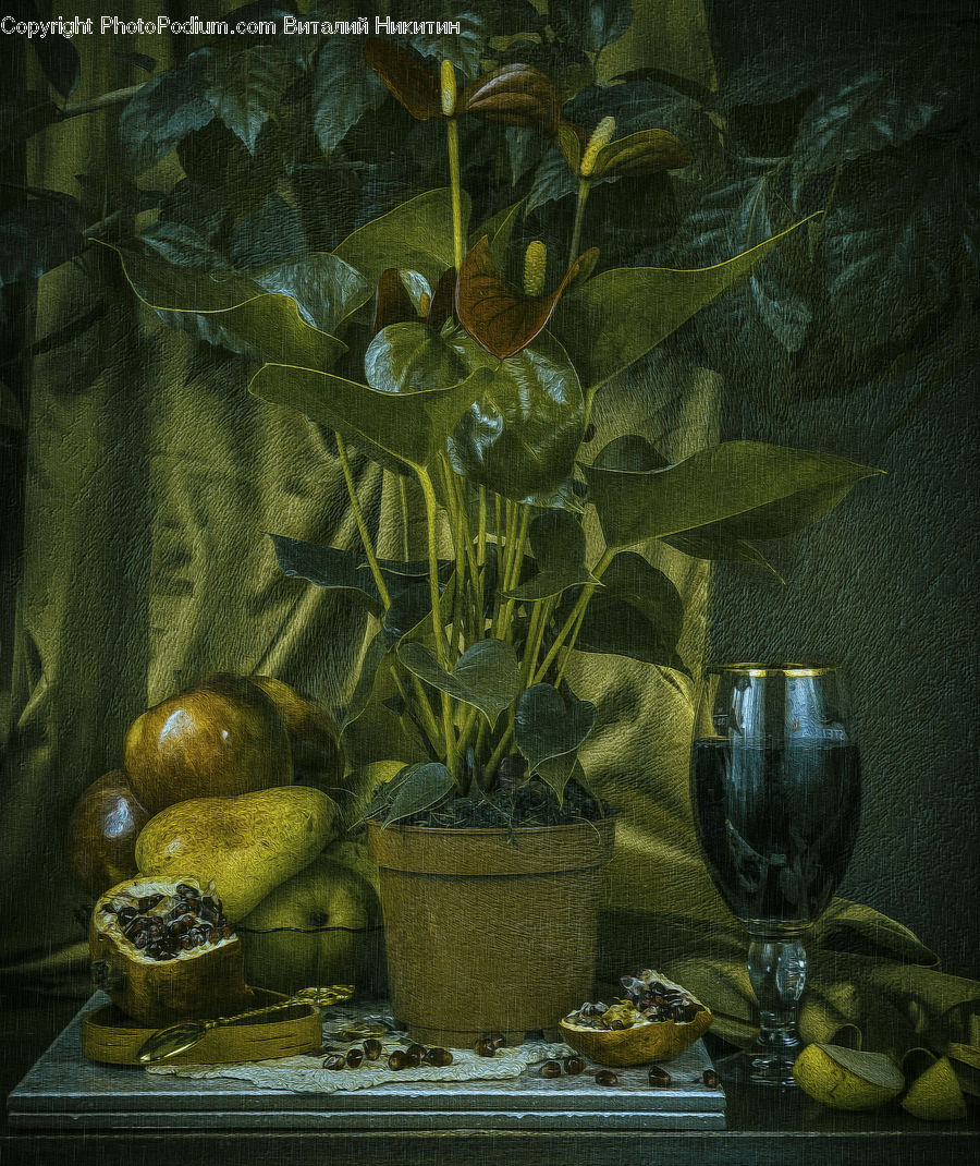 Glass, Goblet, Blossom, Flora, Flower, Plant, Beverage