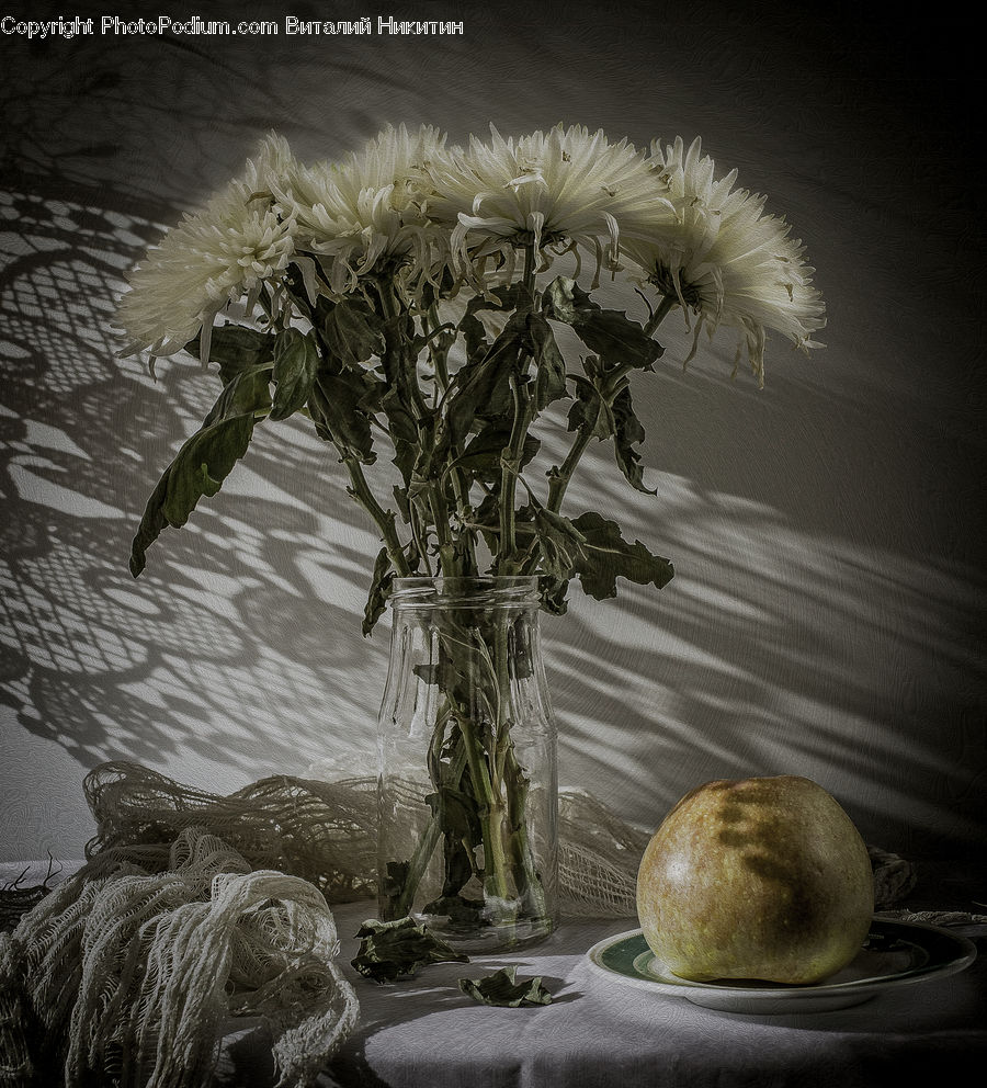 Plant, Potted Plant, Water, Frost, Ice, Outdoors, Snow