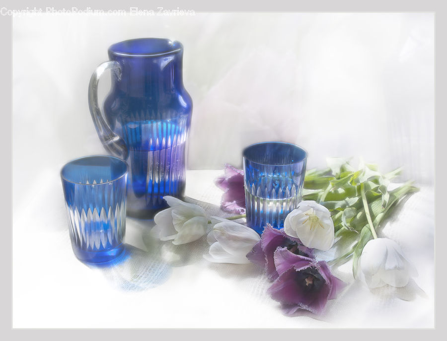 Cup, Blossom, Flower, Peony, Plant, Flora, Petal
