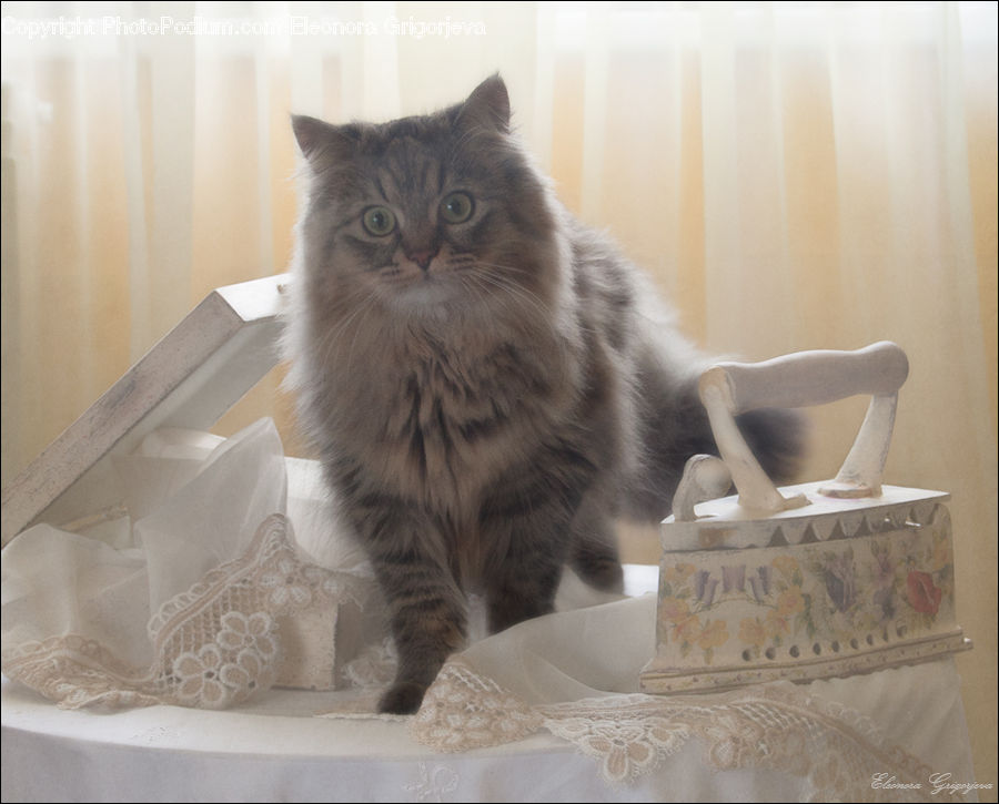 Animal, Cat, Mammal, Manx, Pet, Art, Sculpture