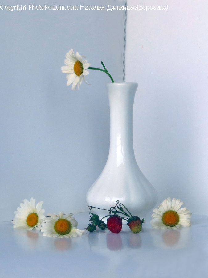 Glass, Goblet, Fruit, Strawberry, Daisies, Daisy, Flower