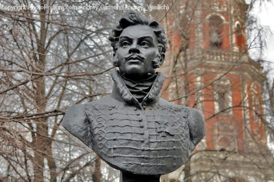 Bust, Figurine, Head, People, Person, Human, Plant