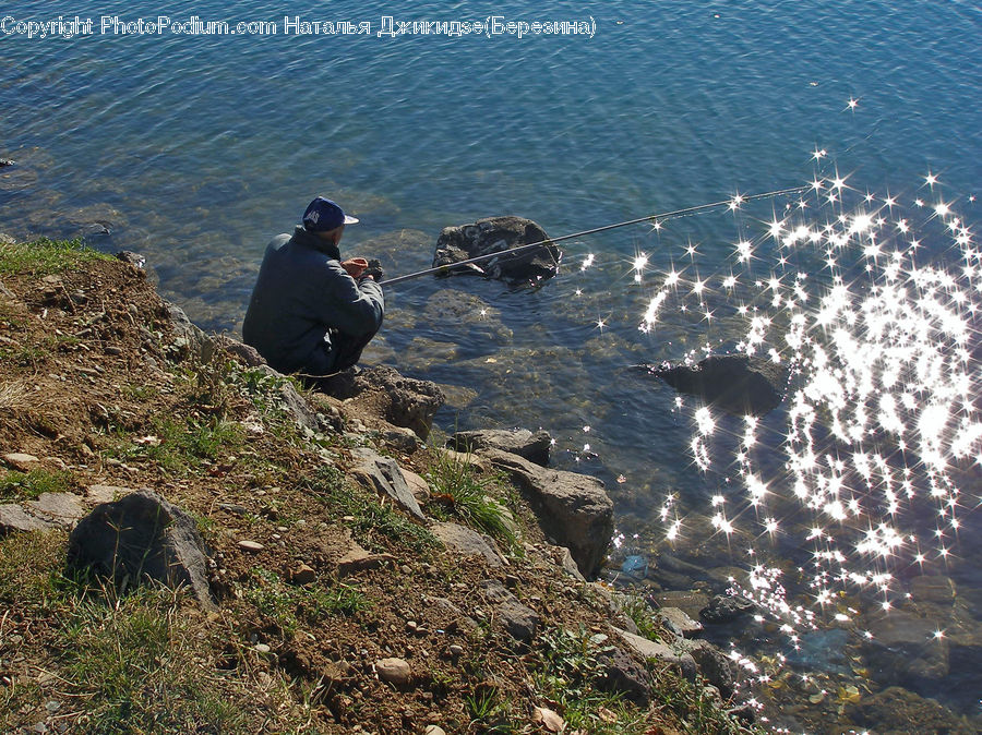 People, Person, Human, Fishing, Bird, Puffin, Rock