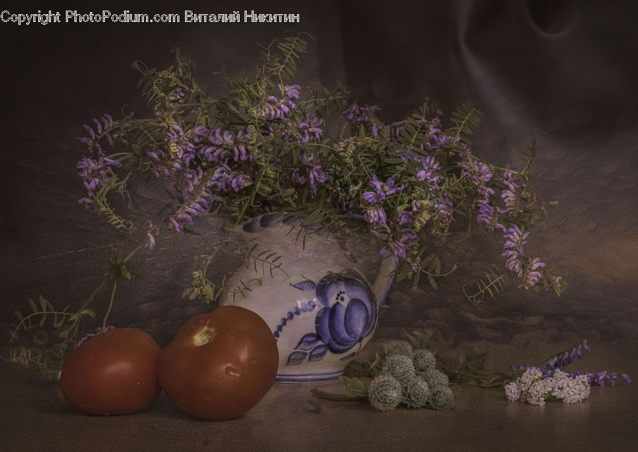 Blossom, Flower, Lilac, Plant, Flora, Petal, Flower Arrangement